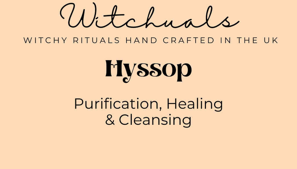 Witchuals - Rituals & Spellwork Apothecary - Hyssop