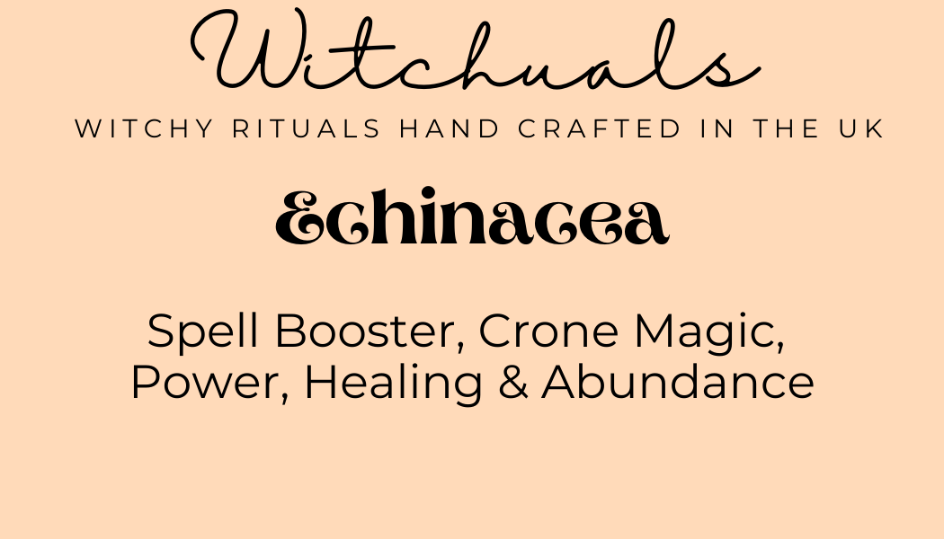 Witchuals - Rituals & Spellwork Apothecary - Echinacea