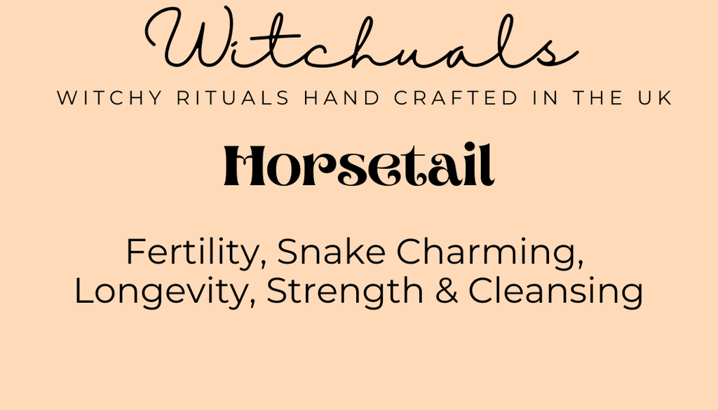 Witchuals - Rituals & Spellwork Apothecary - Horsetail