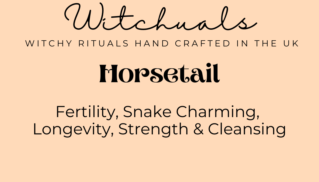 Witchuals - Rituals & Spellwork Apothecary - Horsetail