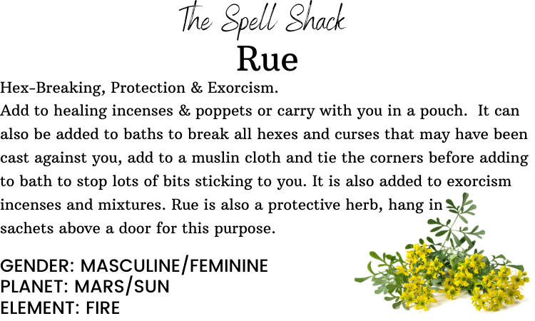 Witchuals - Rituals & Spellwork Apothecary - Rue