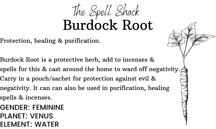 Witchuals - Rituals & Spellwork Apothecary - Burdock Root