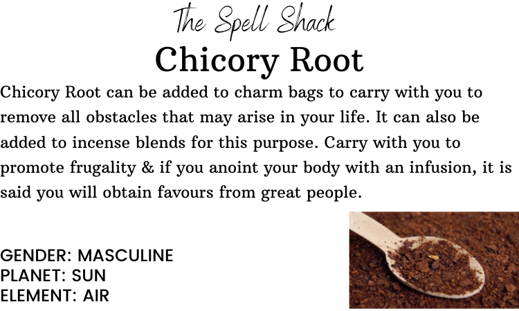 Witchuals - Rituals & Spellwork Apothecary - Chicory Root