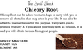 Witchuals - Rituals & Spellwork Apothecary - Chicory Root