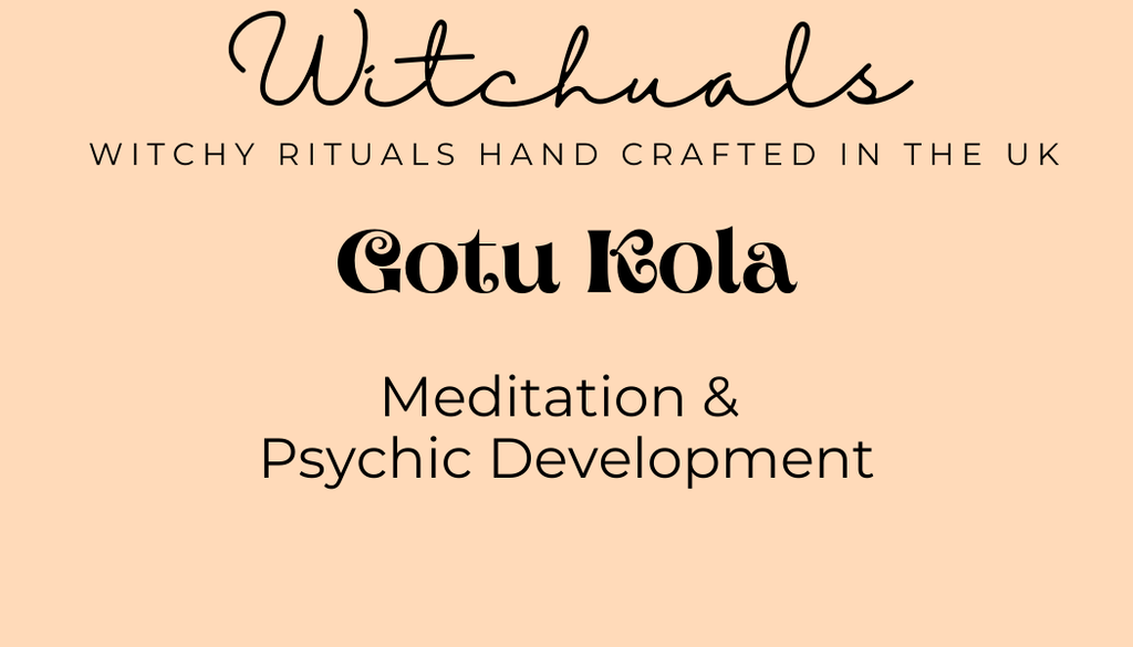 Witchuals - Rituals & Spellwork Apothecary - Gotu Kola