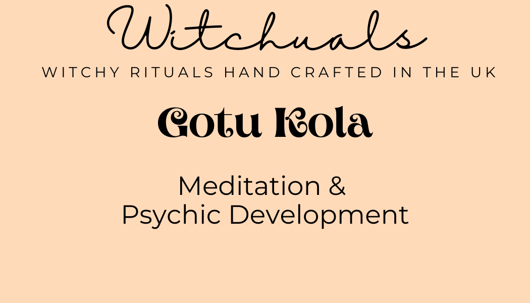 Witchuals - Rituals & Spellwork Apothecary - Gotu Kola