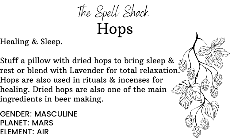 Witchuals - Rituals & Spellwork Apothecary - Hops