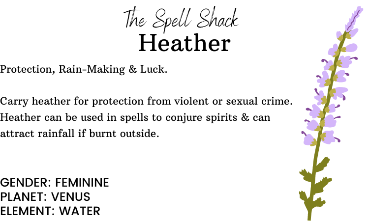 Witchuals - Rituals & Spellwork Apothecary - Heather Flowers