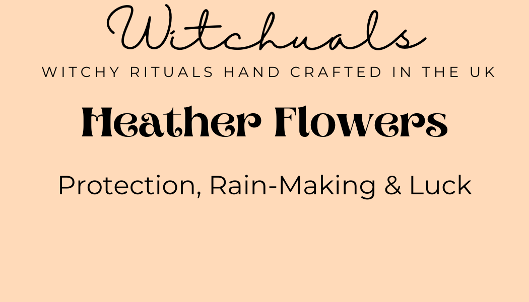 Witchuals - Rituals & Spellwork Apothecary - Heather Flowers