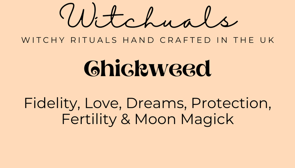 Witchuals - Rituals & Spellwork Apothecary - Chickweed
