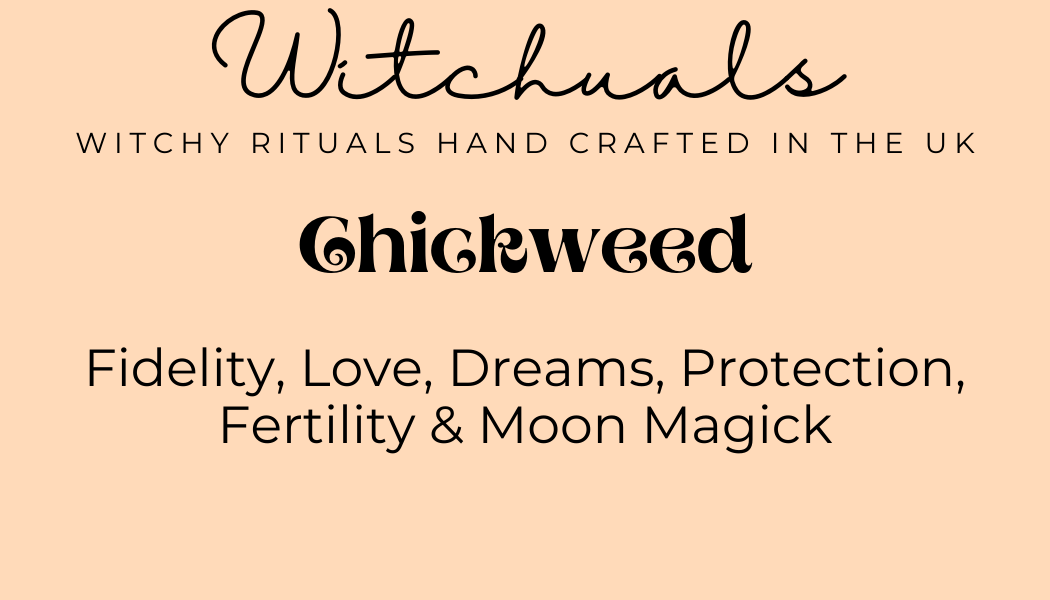 Witchuals - Rituals & Spellwork Apothecary - Chickweed