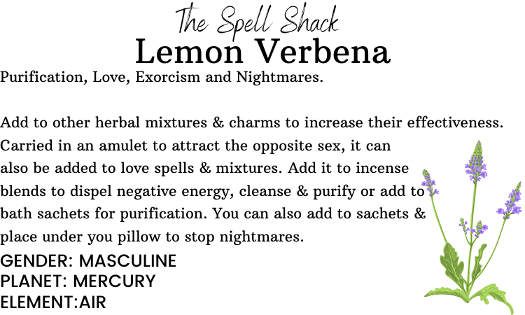 Witchuals - Rituals & Spellwork Apothecary - Lemon Verbena