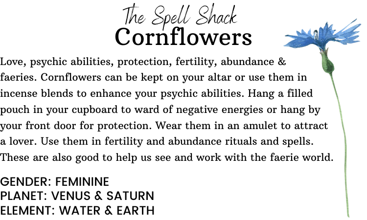 Witchuals - Rituals & Spellwork Apothecary - Cornflowers
