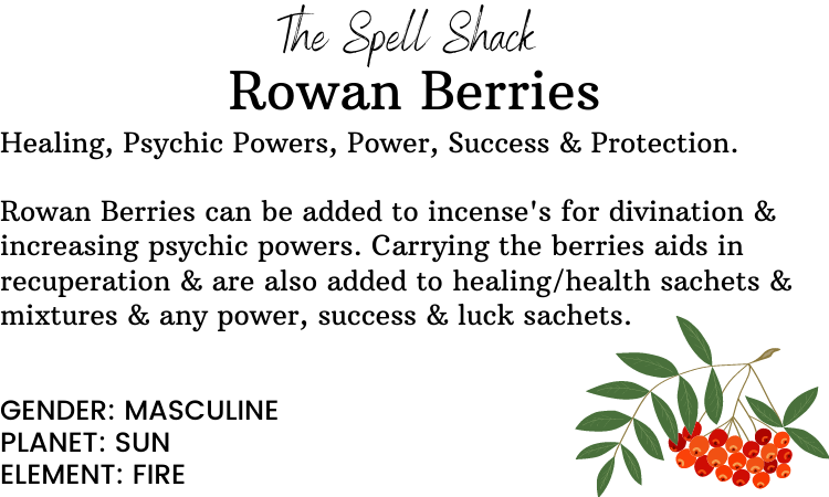 Witchuals - Rituals & Spellwork Apothecary - Rowan Berries