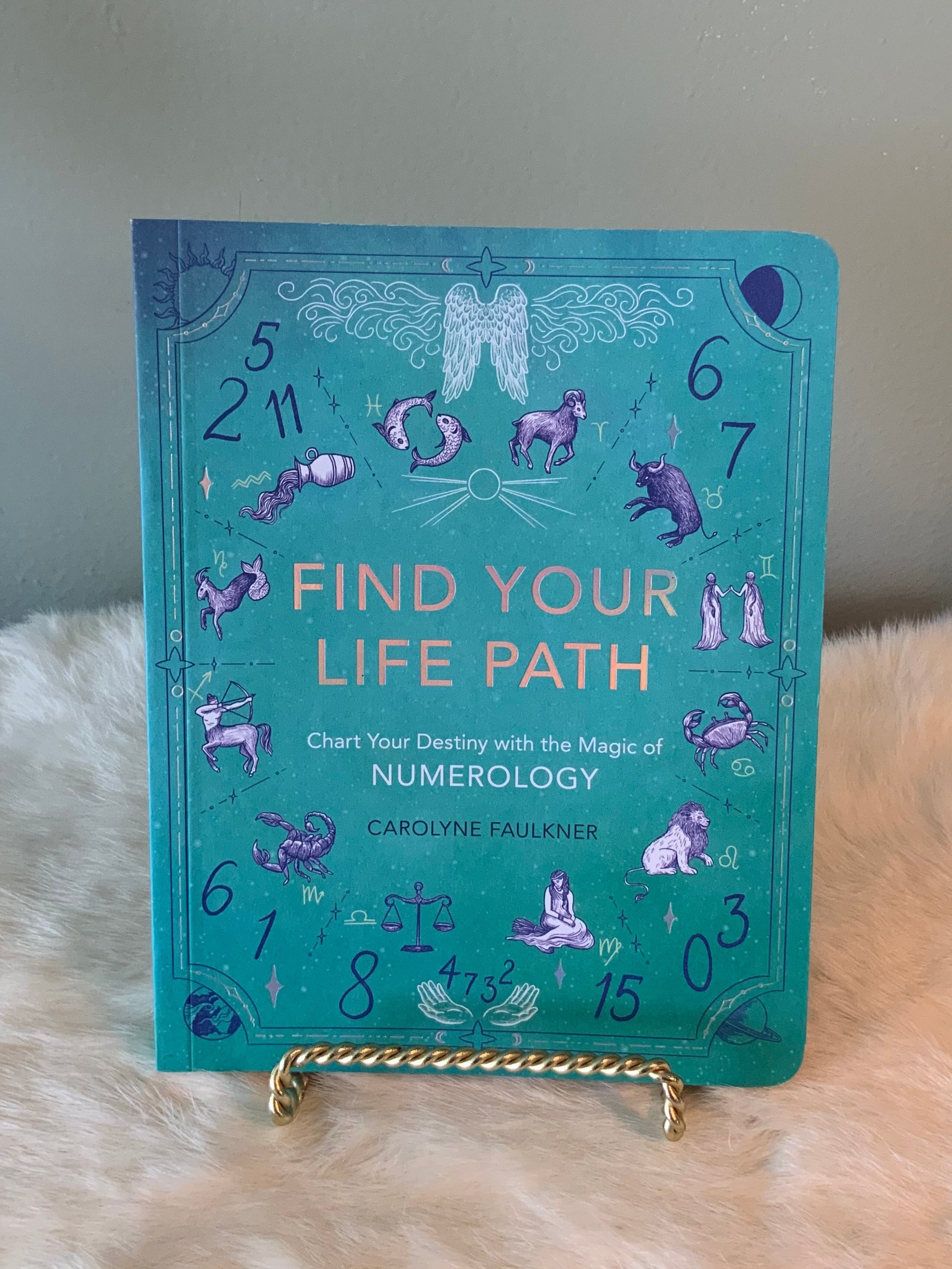 Find Your Life Path