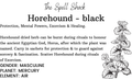 Witchuals - Rituals & Spellwork Apothecary - Horehound