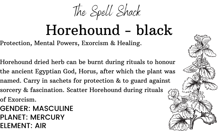 Witchuals - Rituals & Spellwork Apothecary - Horehound