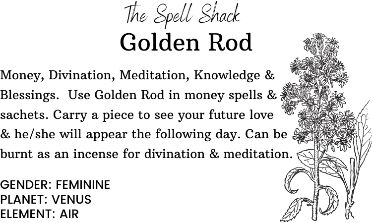 Witchuals - Rituals & Spellwork Apothecary - Golden Rod