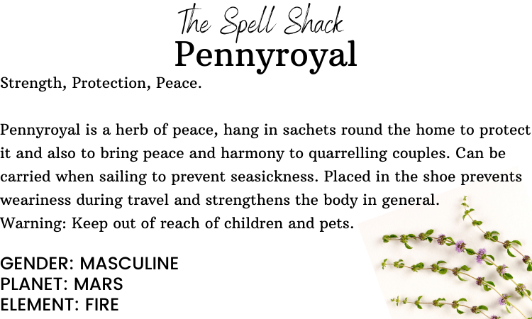 Witchuals - Rituals & Spellwork Apothecary - Pennyroyal