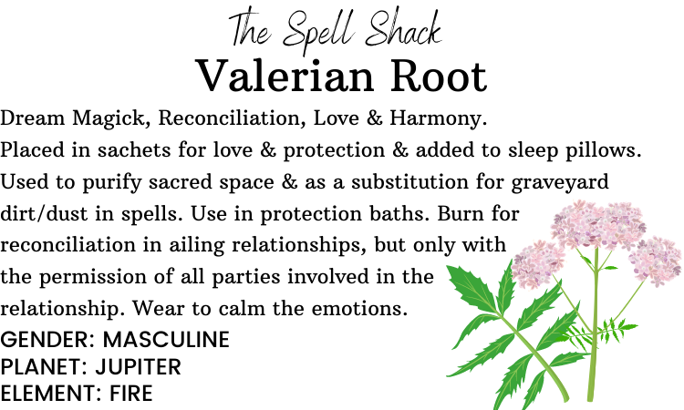 Witchuals - Rituals & Spellwork Apothecary - Valerian Root