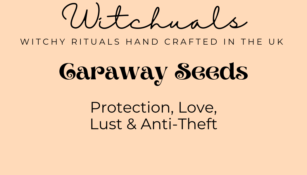 Witchuals - Rituals & Spellwork Apothecary - Caraway Seeds
