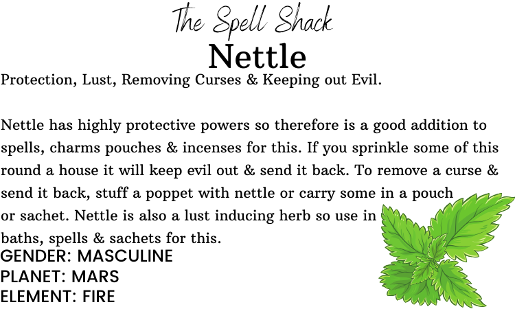 Witchuals - Rituals & Spellwork Apothecary - Nettle