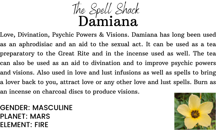 Witchuals - Rituals & Spellwork Apothecary - Damiana