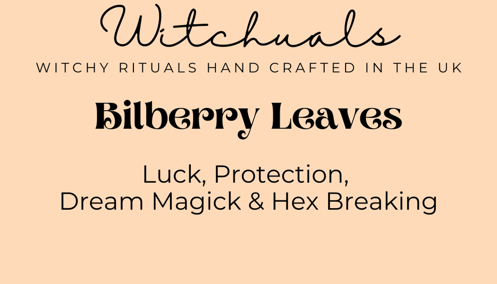 Witchuals - Rituals & Spellwork Apothecary - Bilberry Leaves