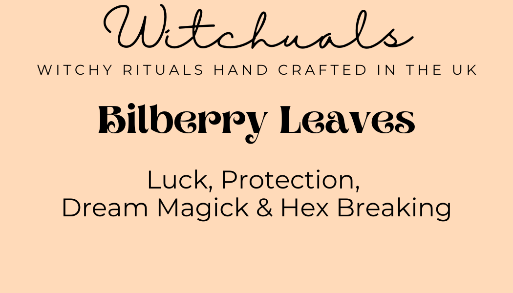Witchuals - Rituals & Spellwork Apothecary - Bilberry Leaves