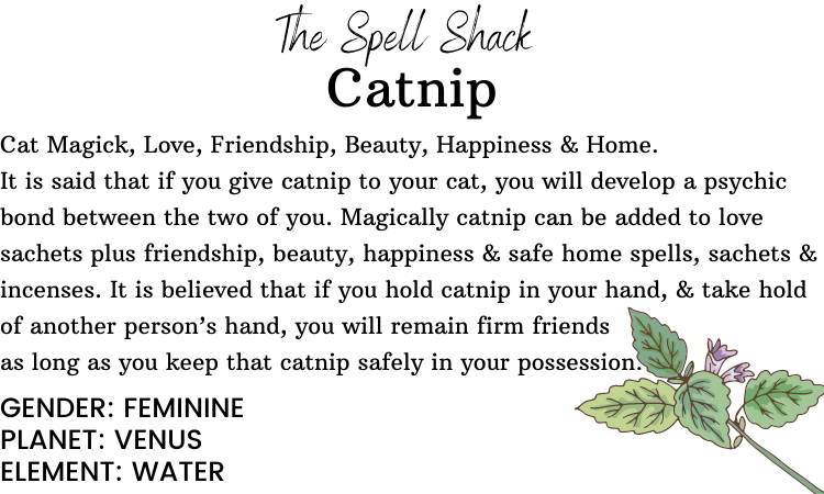 Witchuals - Rituals & Spellwork Apothecary - Catnip
