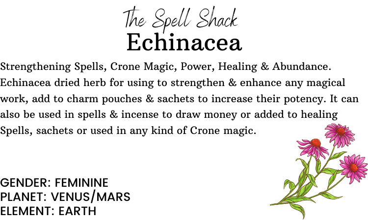 Witchuals - Rituals & Spellwork Apothecary - Echinacea