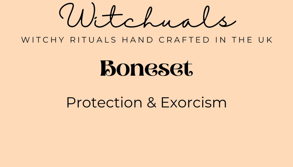 Witchuals - Rituals & Spellwork Apothecary - Boneset