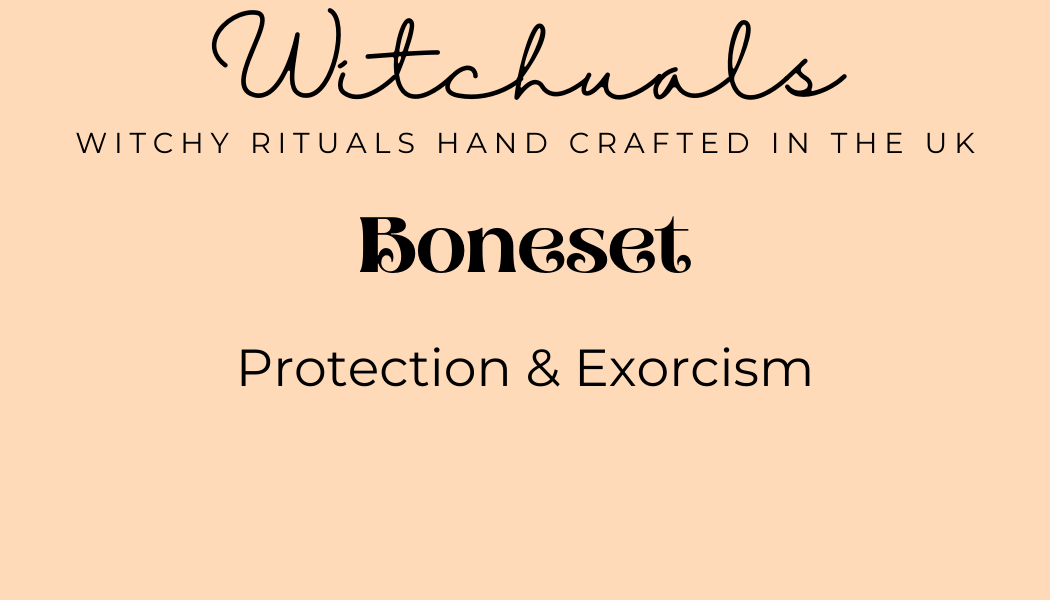 Witchuals - Rituals & Spellwork Apothecary - Boneset