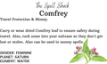 Witchuals - Rituals & Spellwork Apothecary - Comfrey Leaves