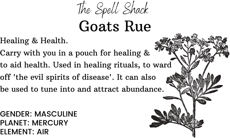 Witchuals - Rituals & Spellwork Apothecary - Goat's Rue