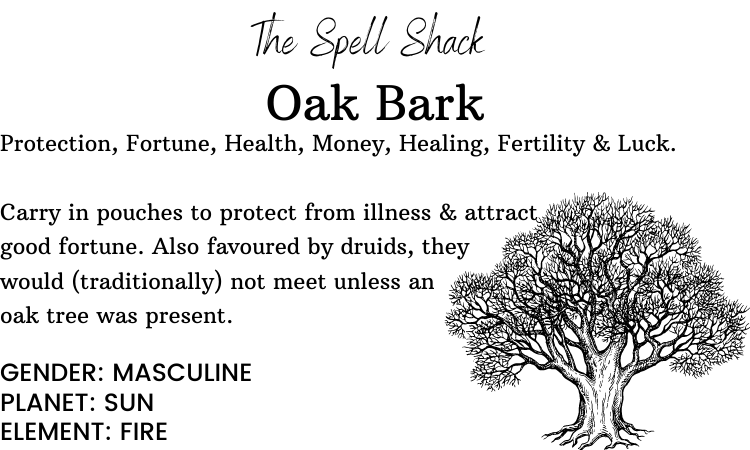 Witchuals - Rituals & Spellwork Apothecary - Oak Bark