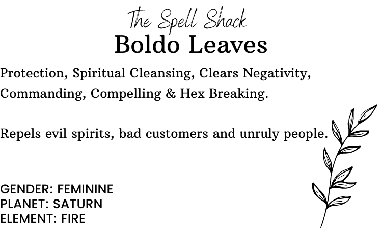 Witchuals - Rituals & Spellwork Apothecary - Boldo Leaves