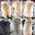 First-Grade Large Natural Rabbit Pelt
