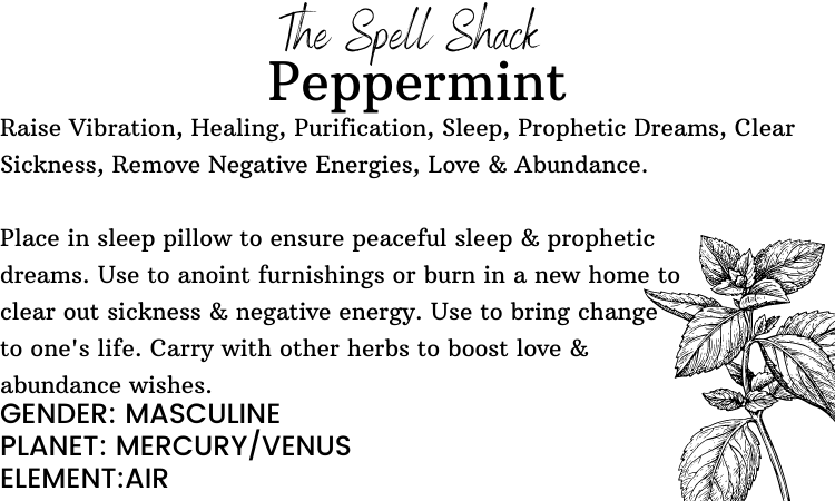 Witchuals - Rituals & Spellwork Apothecary - Peppermint