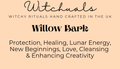 Witchuals - Rituals & Spellwork Apothecary - Willow Bark