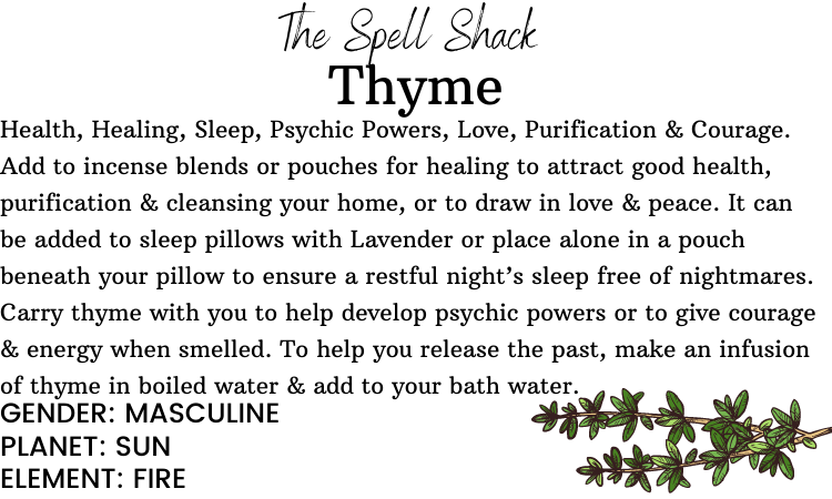 Witchuals - Rituals & Spellwork Apothecary - Thyme