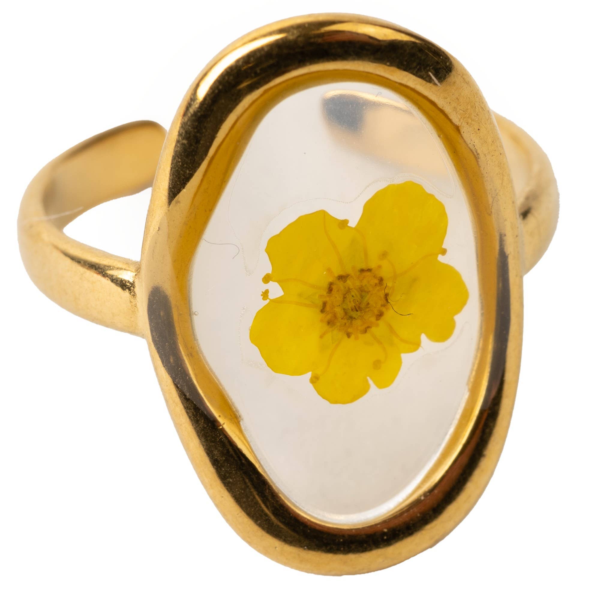 ASSORTED DRIED FLOWER RINGS