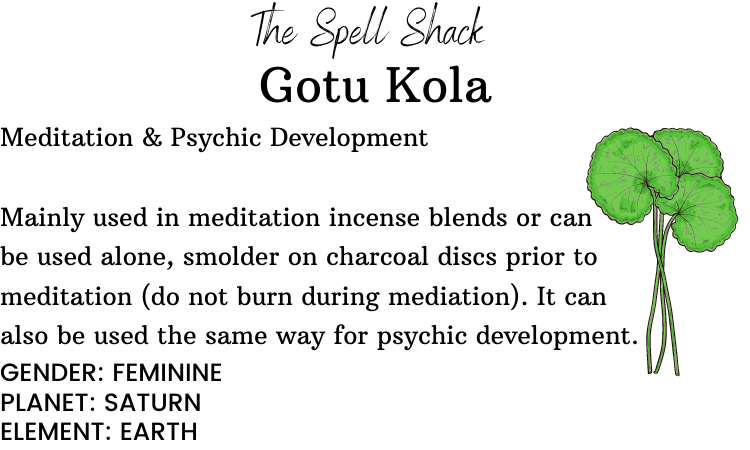 Witchuals - Rituals & Spellwork Apothecary - Gotu Kola