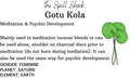 Witchuals - Rituals & Spellwork Apothecary - Gotu Kola