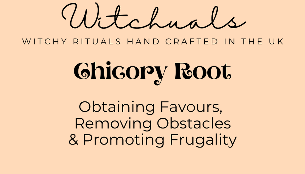 Witchuals - Rituals & Spellwork Apothecary - Chicory Root