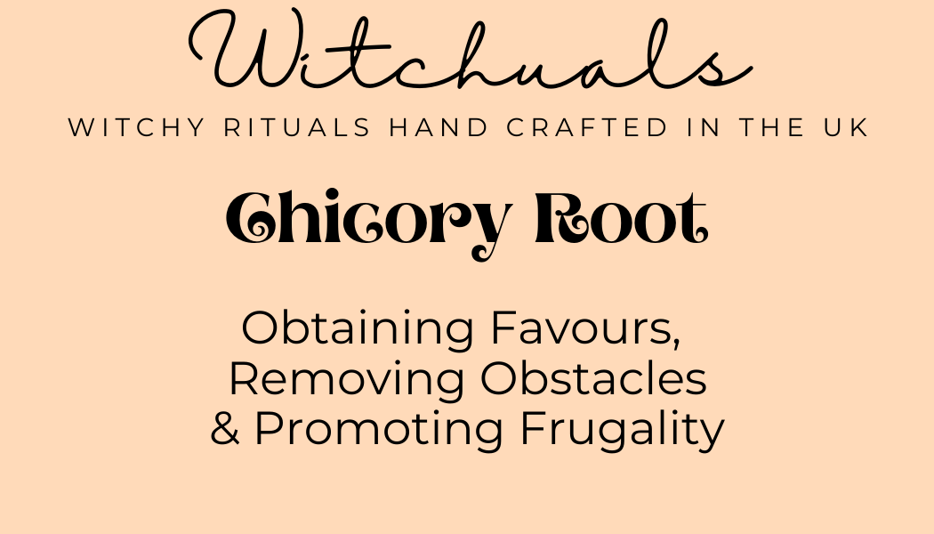 Witchuals - Rituals & Spellwork Apothecary - Chicory Root