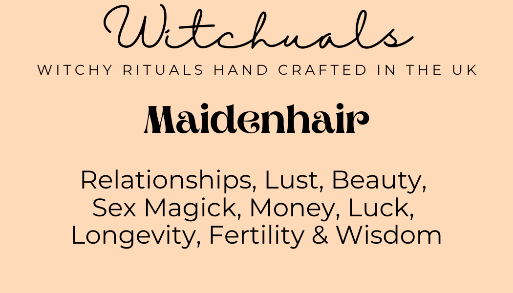 Witchuals - Rituals & Spellwork Apothecary - Maidenhair