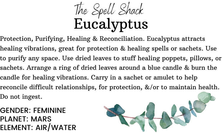 Witchuals - Rituals & Spellwork Apothecary - Eucalyptus Leaves