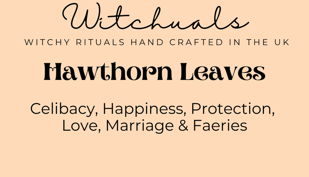 Witchuals - Rituals & Spellwork Apothecary - Hawthorn Leaves