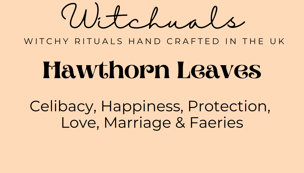 Witchuals - Rituals & Spellwork Apothecary - Hawthorn Leaves